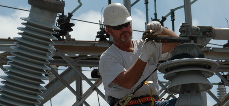 4 employees volunteering