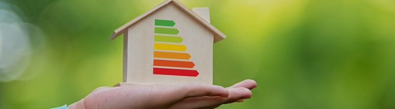 Hand holding home with energy efficiency ratings