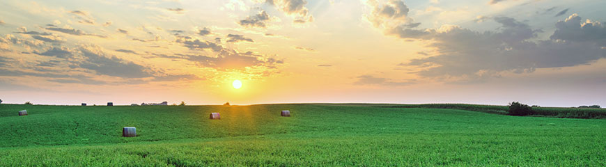 Renewable Natural Gas (RNG)